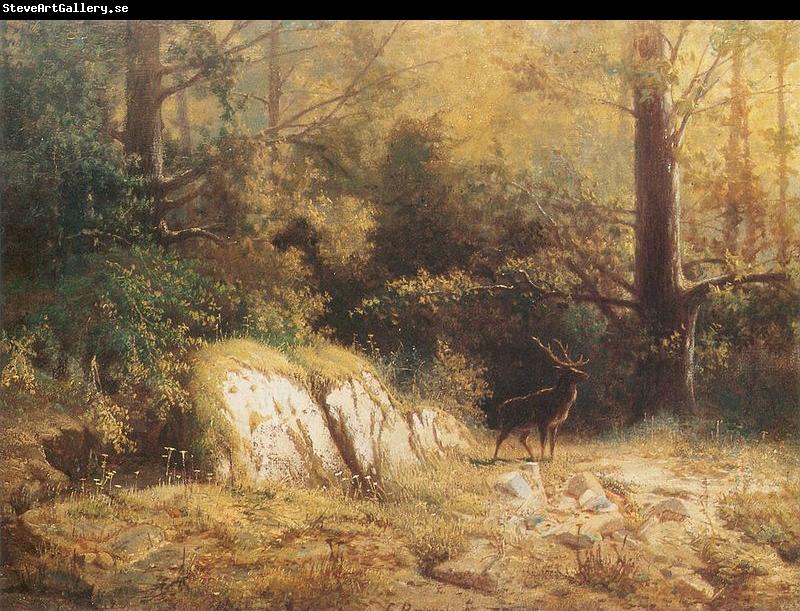 unknow artist Forest landscape with a deer